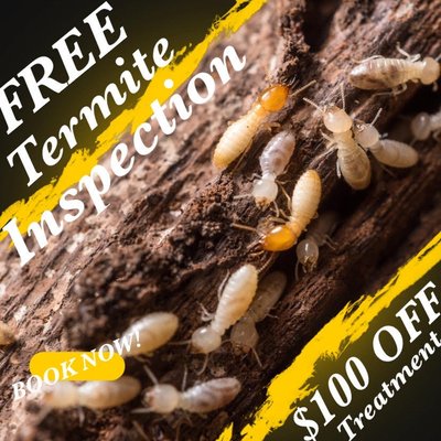 Termite Control - Our termite inspectors provide an intense and thorough inspection to determine the best course of action to take against your home invaders. VAST Professionals understands the importance of peace of mind and protecting our customers' livelihoods. We not only take care of the current termite issue, we provide services to protect your home for years after. Whether it’s a small job or an entire home fumigation, we have the best treatment options for you. Need an escrow clearance? We do those, too! Call us today to schedule your FREE inspection. Treatment options: Tent Fumigation Local Liquid Treatment Broadcast Treatments Heat Treatment Subterranean Soil Treatment Termite Control - Our termite inspectors provide an intense and thorough inspection to determine the best course of action to take against your home invaders. VAST Professionals understands the importance of peace of mind and protecting our customers' livelihoods. We not only take care of the current termite issue, we provide services to protect your home for years after. Whether it’s a small job or an entire home fumigation, we have the best treatment options for you. Need an escrow clearance? We do those, too! Call us today to schedule your FREE inspection. Treatment options: Tent Fumigation Local Liquid Treatment Broadcast Treatments Heat Treatment Subterranean Soil Treatment