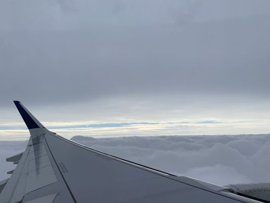 Delta Air Lines by null