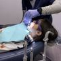 Photo of Sweet Tooth Pediatrics