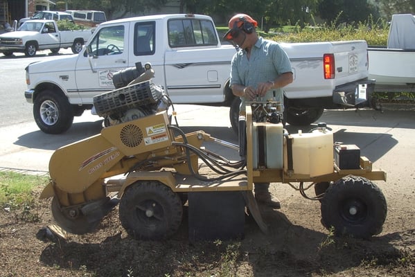 Stump Busters - tree service in Sacramento, CA