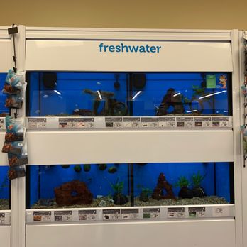 Petco - Fish - Pet Training Near Me - Glen Cove, New York
