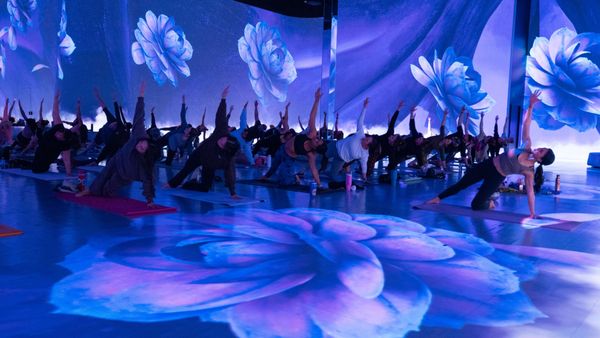 Illuminarium Las Vegas by null