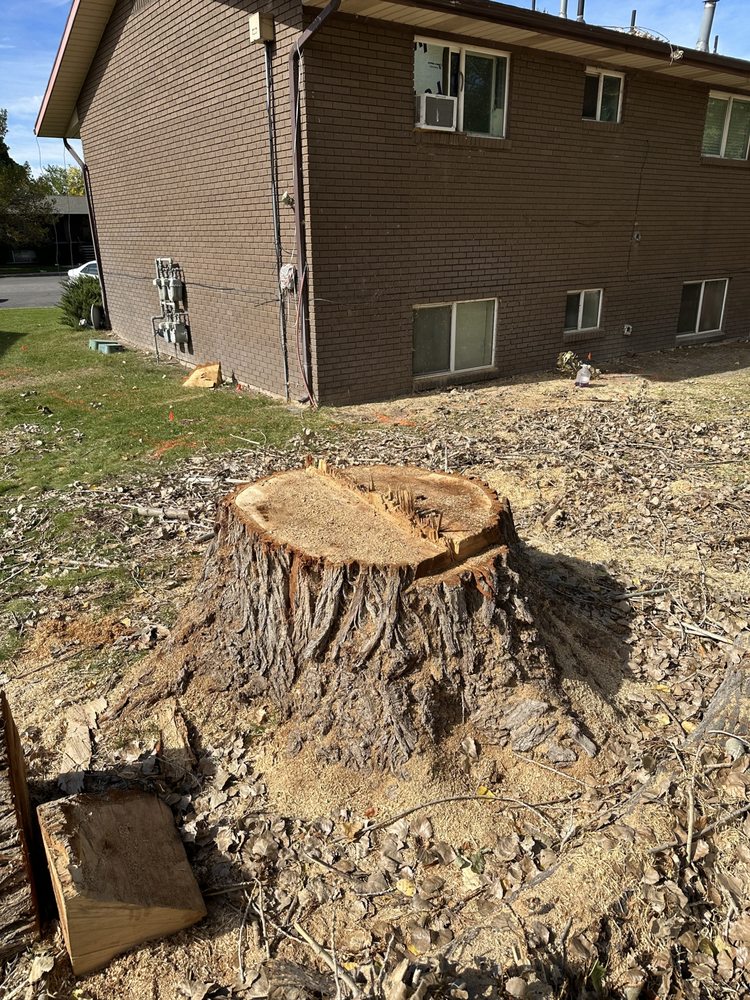 Grind Time Stump Grinding - tree service in Provo, UT