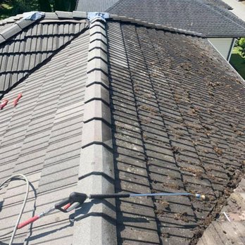 Spartan Power Washing - Roof Cleaning - Gutter Services Near Me - Port Coquitlam, British Columbia Spartan Power Washing - Roof Cleaning - Gutter Services Near Me - Port Coquitlam, British Columbia