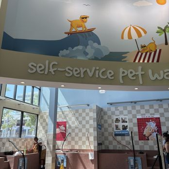 Pet Food Express - Natural light! - Pet Stores Near Me - Pasadena, California