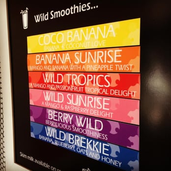 Wild Orange Premium Frozen Yoghurt - Restaurants Near Me - Balmain, NSW Wild Orange Premium Frozen Yoghurt - Restaurants Near Me - Balmain, NSW