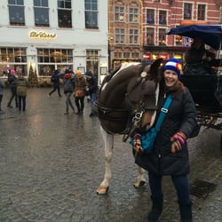 Sight-seeing Bruges in a Carriage