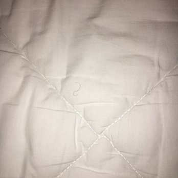 DoubleTree by Hilton Hotel Princeton - Disgusting! - Hotels Near Me - Princeton, New Jersey DoubleTree by Hilton Hotel Princeton - Disgusting! - Hotels Near Me - Princeton, New Jersey