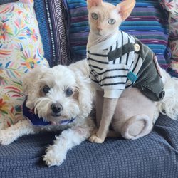 Medford Pet Clinic - My fur babies