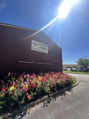Virginia Beach Farmers Market by null