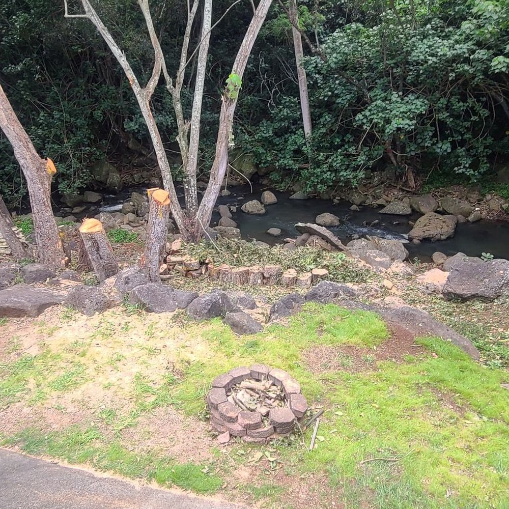 Treescape Hawaii - Tree Services Near Me - Ewa Beach, Hawaii Treescape Hawaii - Tree Services Near Me - Ewa Beach, Hawaii