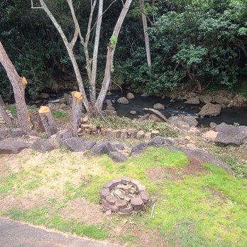 Treescape Hawaii - Tree Services Near Me - Ewa Beach, Hawaii