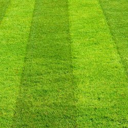 TJM Lawn Care