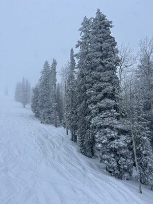 Steamboat Ski Resort by null