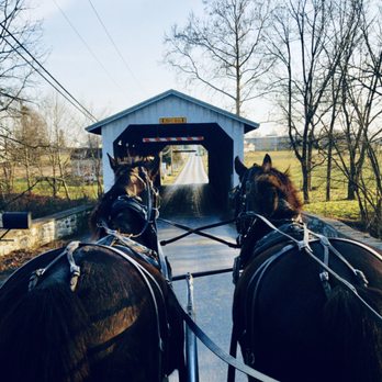 AAA Buggy Rides - Best picture approaching the covered bridge - Tours Near Me - Ronks, Pennsylvania AAA Buggy Rides - Best picture approaching the covered bridge - Tours Near Me - Ronks, Pennsylvania