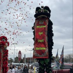 Detroit Lion Dance Association