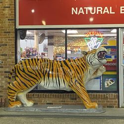 Natural Bridge Exxon - Exxon tiger, rawr!