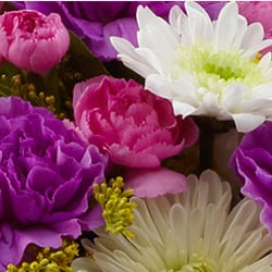 Keith Wheeler's Flowers