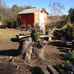 Salem Garden & Gift Shop