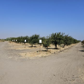 Arya Farm Produce - Grocery Near Me - Tracy, California