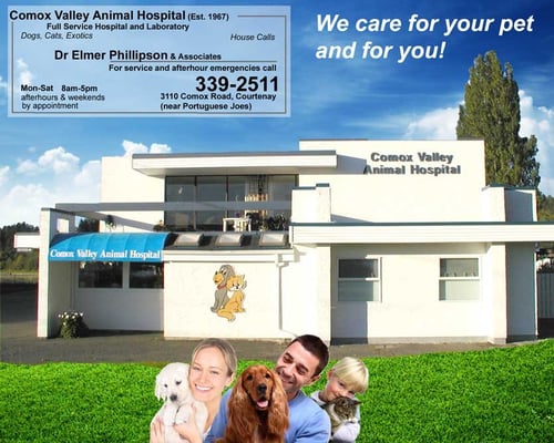 COMOX VALLEY ANIMAL HOSPITAL - Updated June 2026 - 3110 Comox Road ...