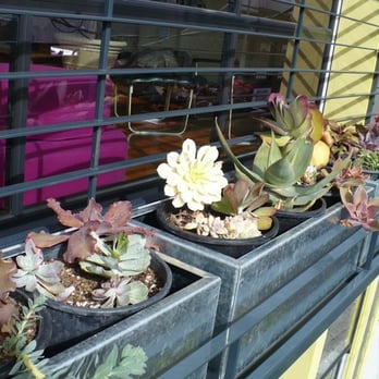DeFauw Design & Fabrication - planters for the balcony -custom design by defauw - General Contractors Near Me - Berkeley, California