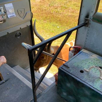Babcock Ranch Eco Tours - He didn't have a ticket to board - Tours Near Me - Punta Gorda, Florida
