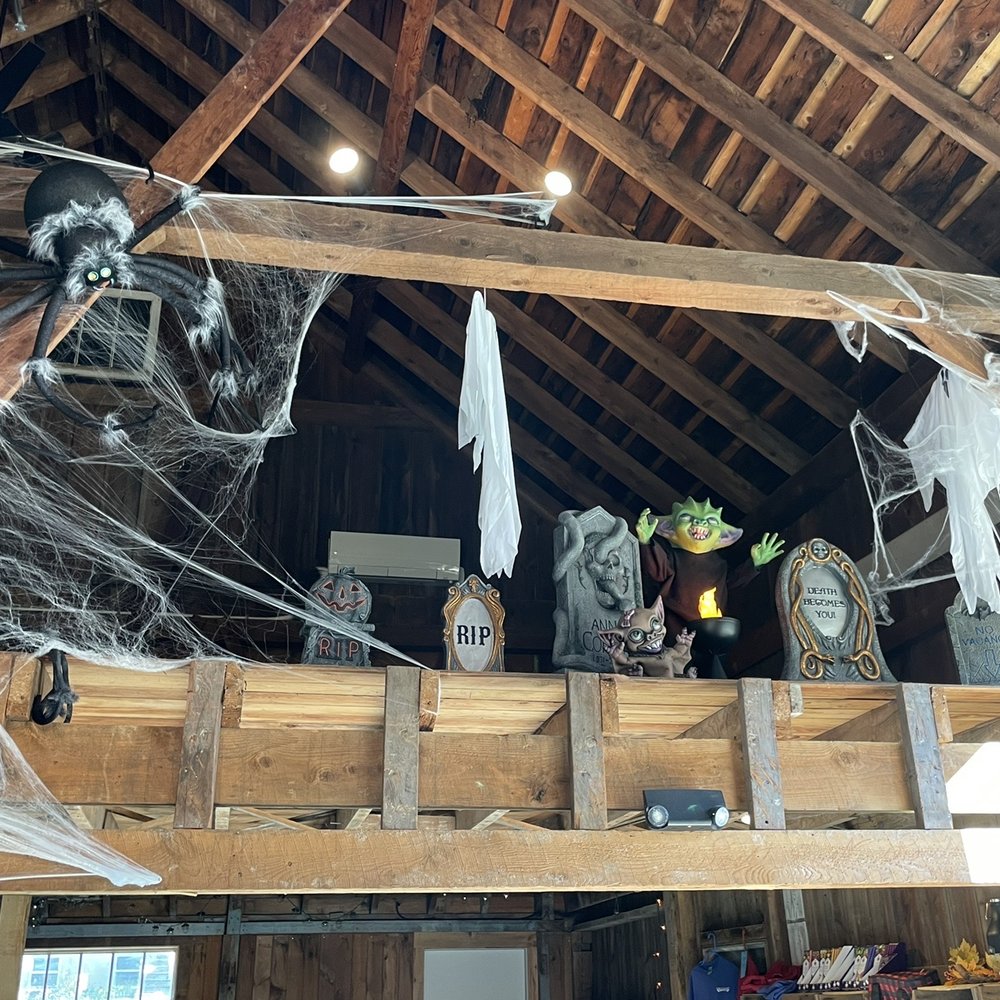 Yankee Cider - Halloween decorations - Cideries Near Me - East Haddam, Connecticut Yankee Cider - Halloween decorations - Cideries Near Me - East Haddam, Connecticut