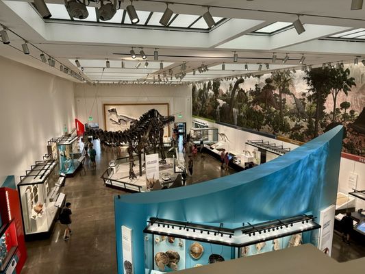 Yale Peabody Museum by null