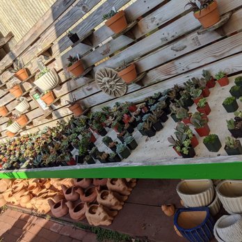 The Garden Gallery - Nurseries & Gardening Near Me - Morro Bay, California The Garden Gallery - Nurseries & Gardening Near Me - Morro Bay, California
