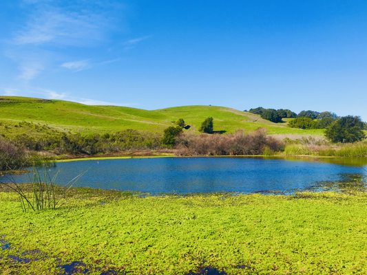 Briones Regional Park by null