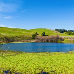 Briones Regional Park