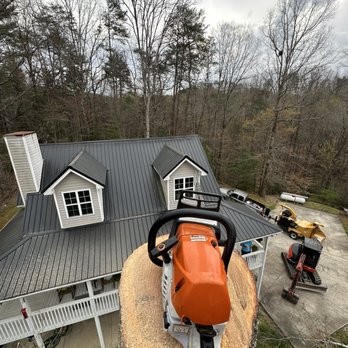 Ramire’z Tree Removal - Contact us today for a free estimate. Call us at 706-(669)(8694) - Tree Services Near Me - East Ellijay, Georgia Ramire’z Tree Removal - Contact us today for a free estimate. Call us at 706-(669)(8694) - Tree Services Near Me - East Ellijay, Georgia