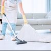 Busybody Domestics gift card