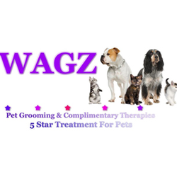 Wagz