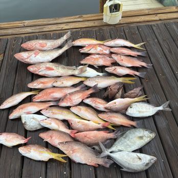 Show me the Snapper - Fish Catch - Fishing Near Me Show me the Snapper - Fish Catch - Fishing Near Me