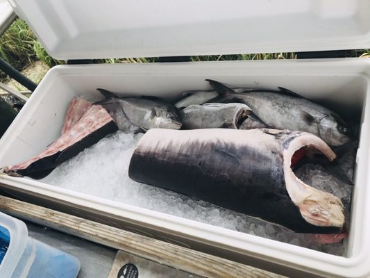 Abundant Seafood by null