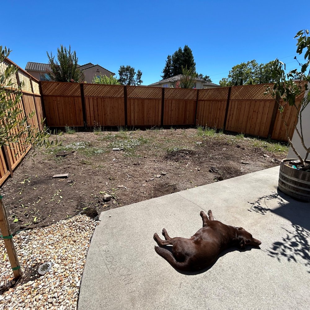 Cruz Diaz Landscaping - Landscaping Near Me Cruz Diaz Landscaping - Landscaping Near Me