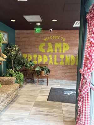 Camp Trippalindee by null