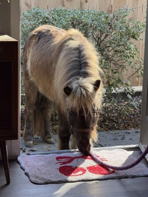 Off Broadway Shoe Warehouse