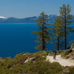 Ann Nguyen Tahoe Truckee Realtor