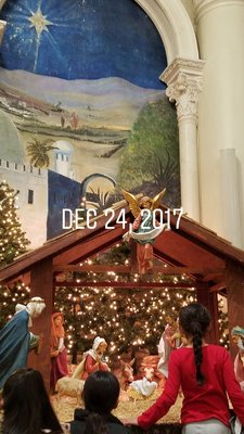 St. Patrick Cathedral by null