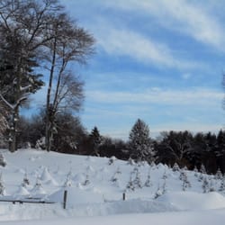 Sleighbell Christmas Tree Farm & Gift Barn