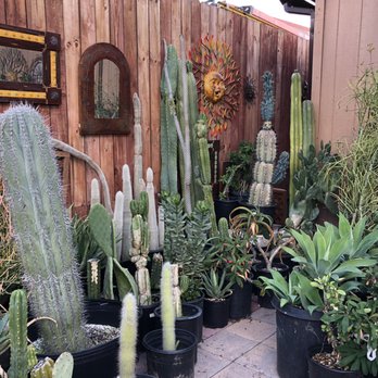 California Cactus Center - Nurseries & Gardening Near Me - Pasadena, California