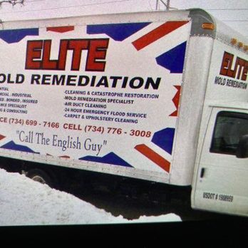 1. Elite Mold Remediation