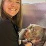 Photo of Proper Pups Dog Training