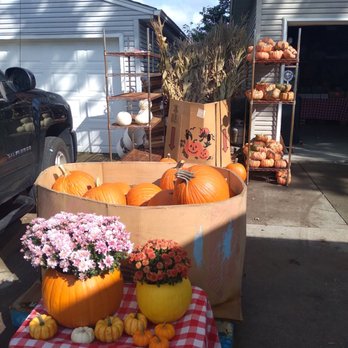 LJ's Petals and Produce - Pumpkins! - Nurseries & Gardening Near Me - Lorain, Ohio LJ's Petals and Produce - Pumpkins! - Nurseries & Gardening Near Me - Lorain, Ohio