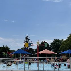 Nelson Arena