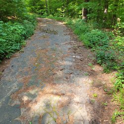 Penwood State Park - Paved trail