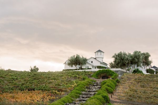 Leal Vineyards and Winery by null